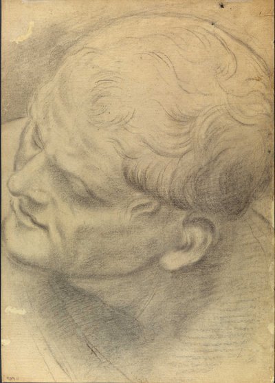 Sketch of a Male Head Seen from Above by Domenico Maria Canuti